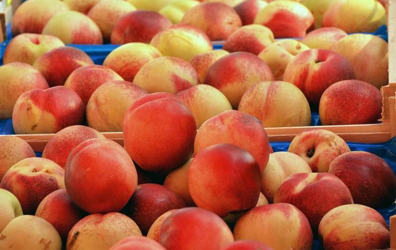 Food Market